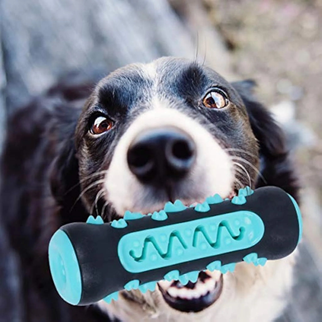 Natural rubber dog toothbrush chew toy in blue, showing textured surface for dental cleaning