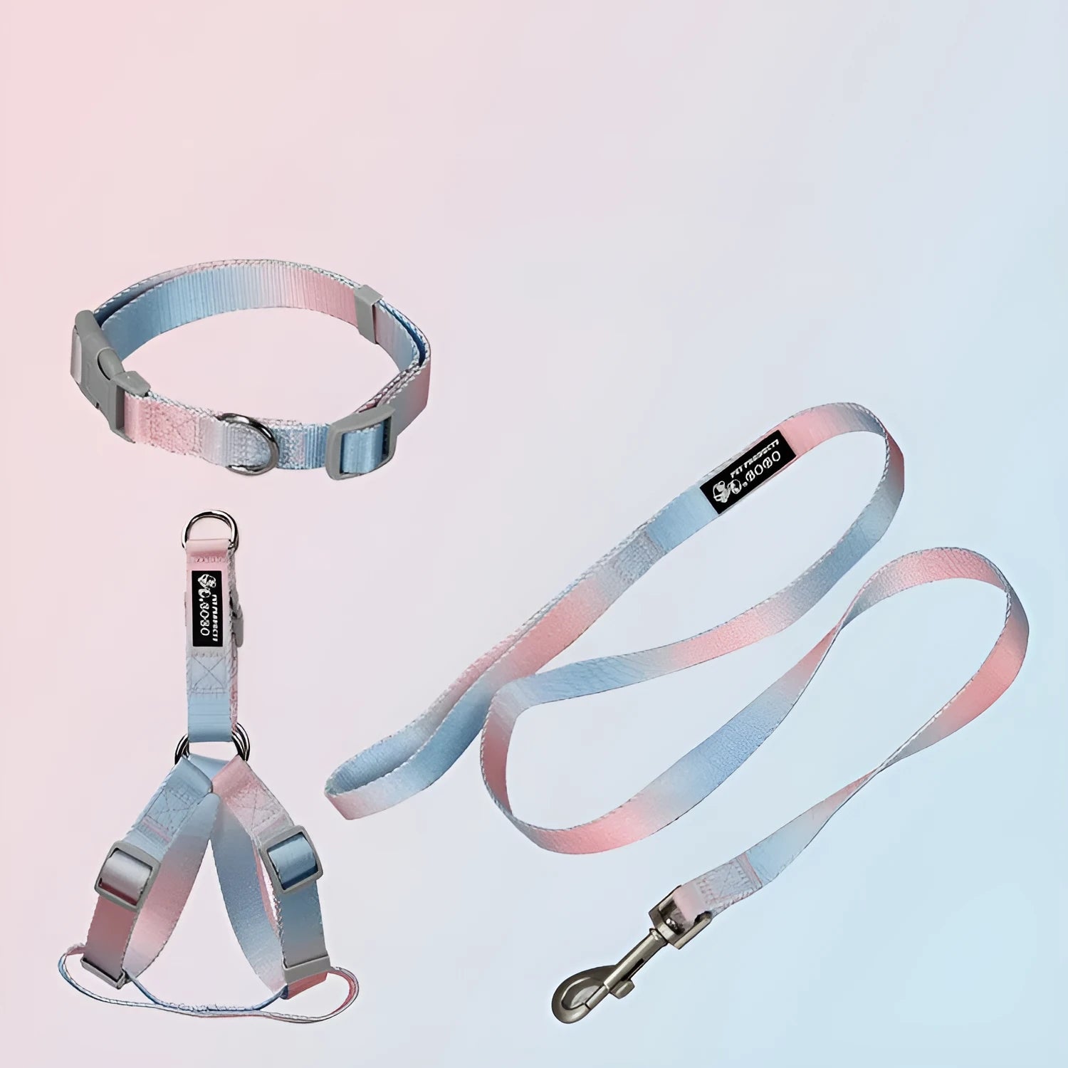 Gradient colour nylon dog lead and adjustable chest harness set for small or medium dogs.