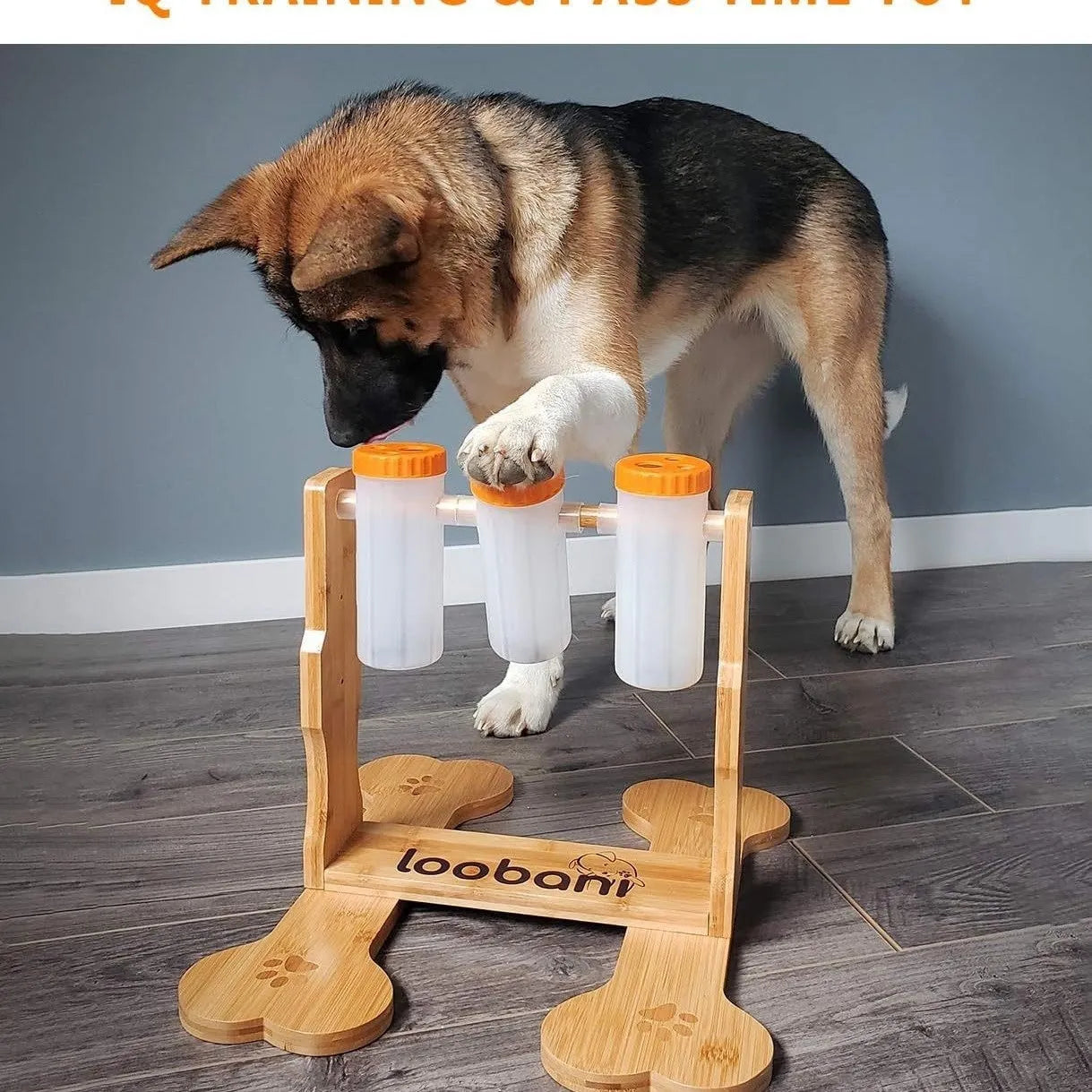 Wooden dog puzzle toy with sliding doors measuring 31x30x20cm for treat dispensing and mental stimulation