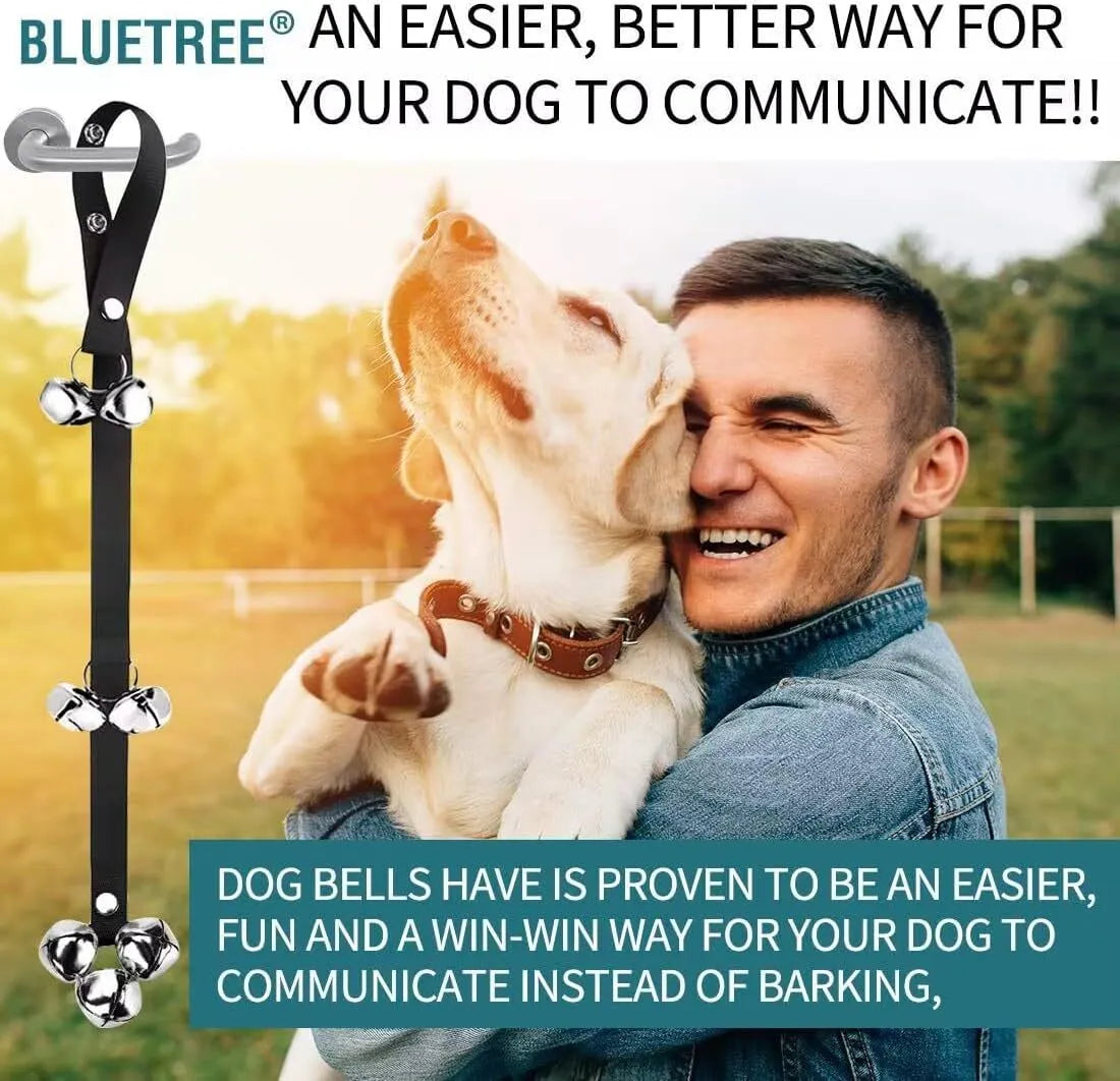 Seven large silver metal dog training bells on adjustable nylon leash for potty signal communication