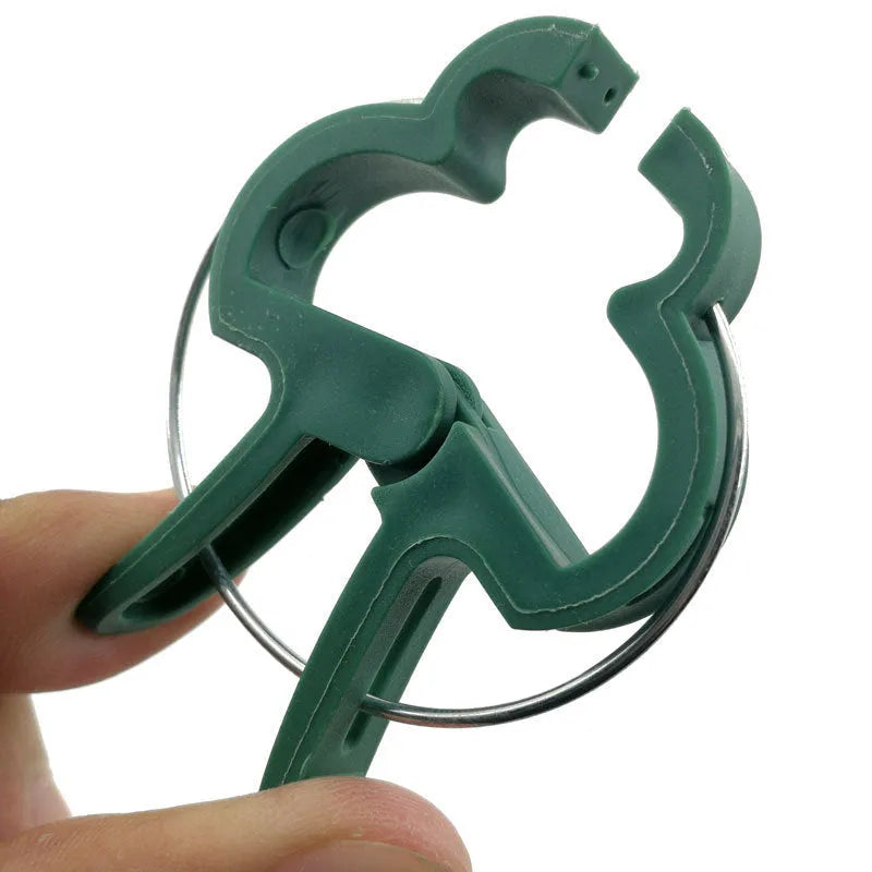 Green plastic and zinc plant fixing clips holding a tomato vine to a garden cane.