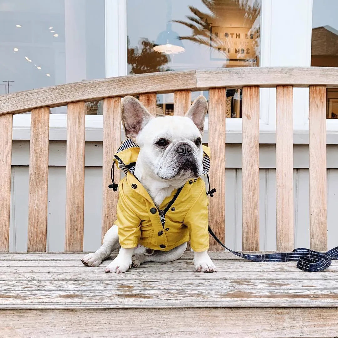 Yellow polyester dog raincoat with windproof waterproof twill and cotton inside, sizes S to 4XL