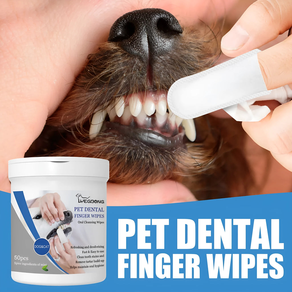 Canister of 50 dog dental finger stall wipes for canine oral hygiene with fingertip sleeve design