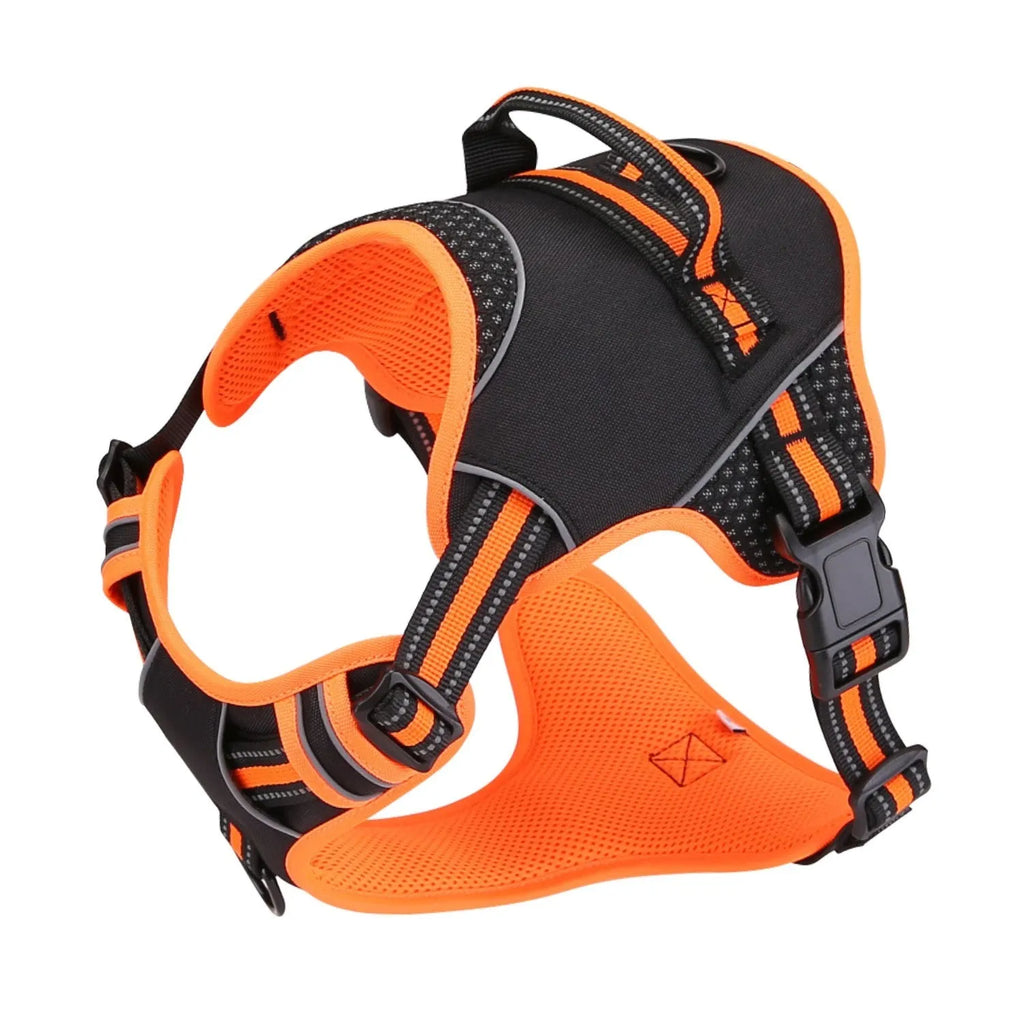 Polyester dog harness traction strap in yellow or orange available in S, M, L sizes for outdoor training