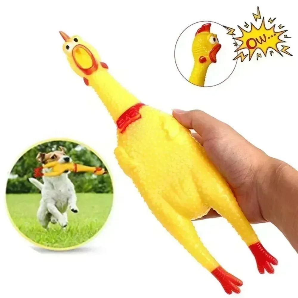 Yellow rubber screaming chicken dog squeak toy shown in three different sizes: small, medium, and large.