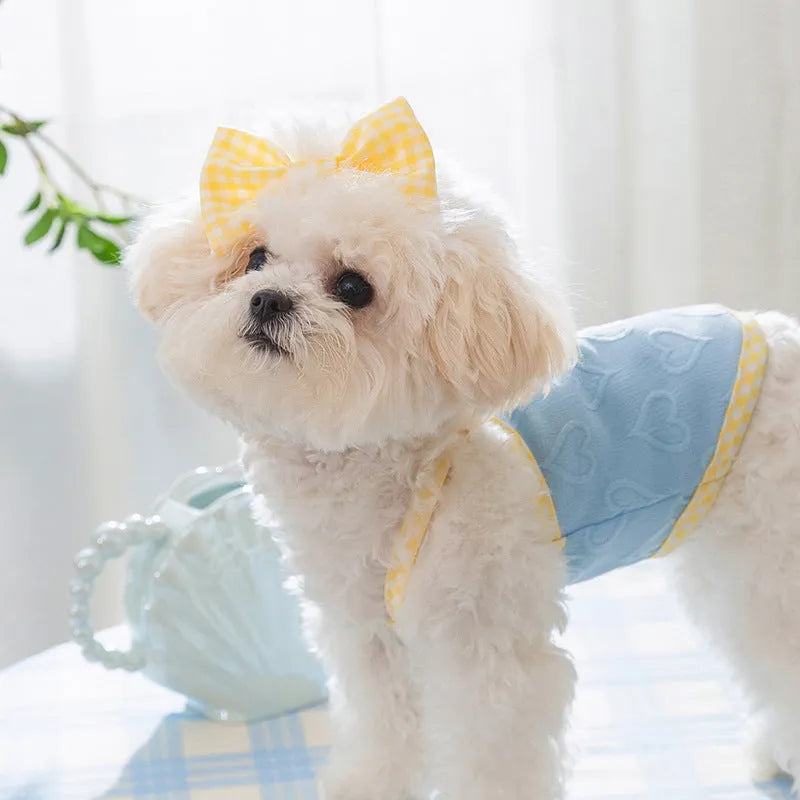Small dog wearing a blue elastic vest with a heart texture pattern and bow suspenders.