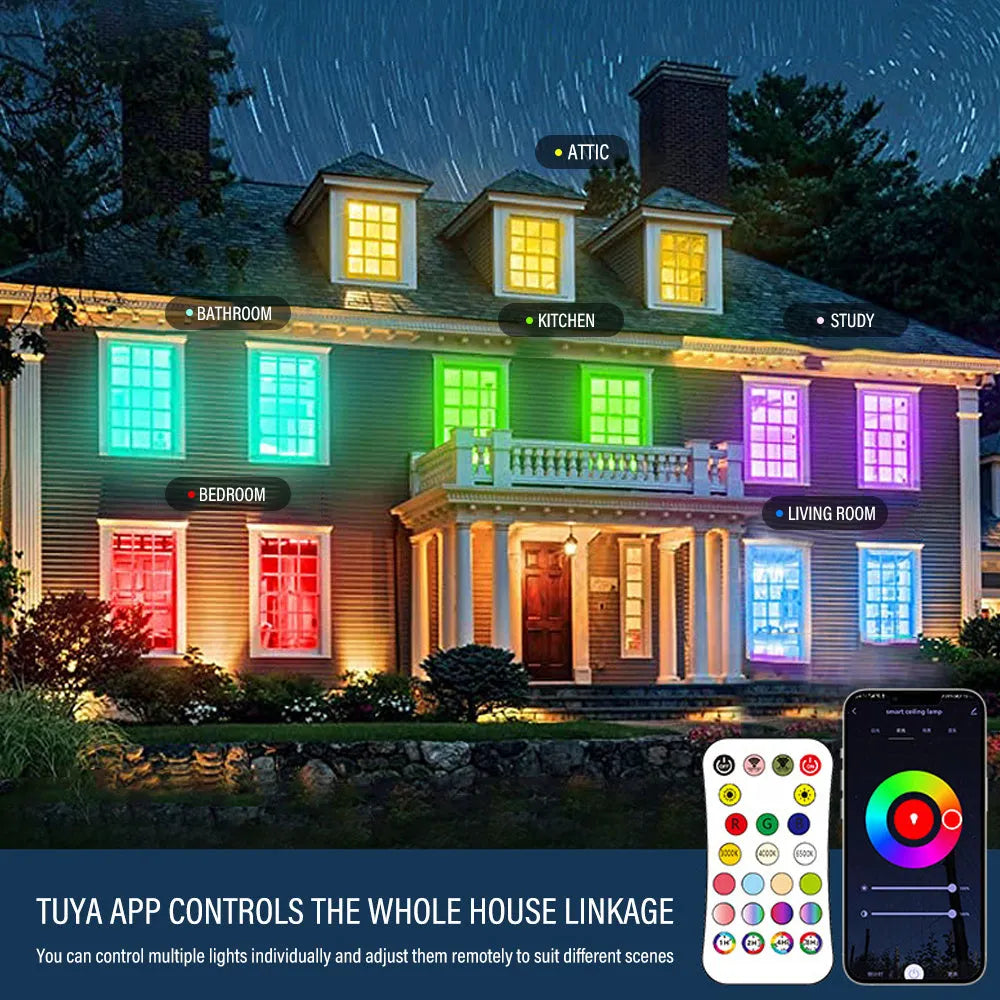 Black or white intelligent RGBCW Bluetooth ceiling lamp with remote control on a ceiling