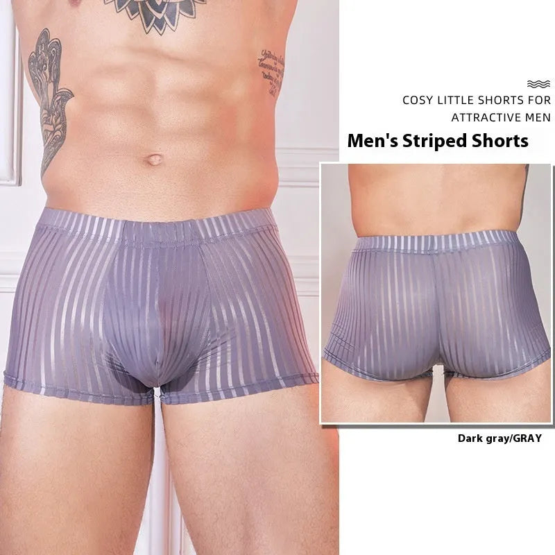 Men's striped underwear in thin transparent nylon fabric, shown in dark grey colour.