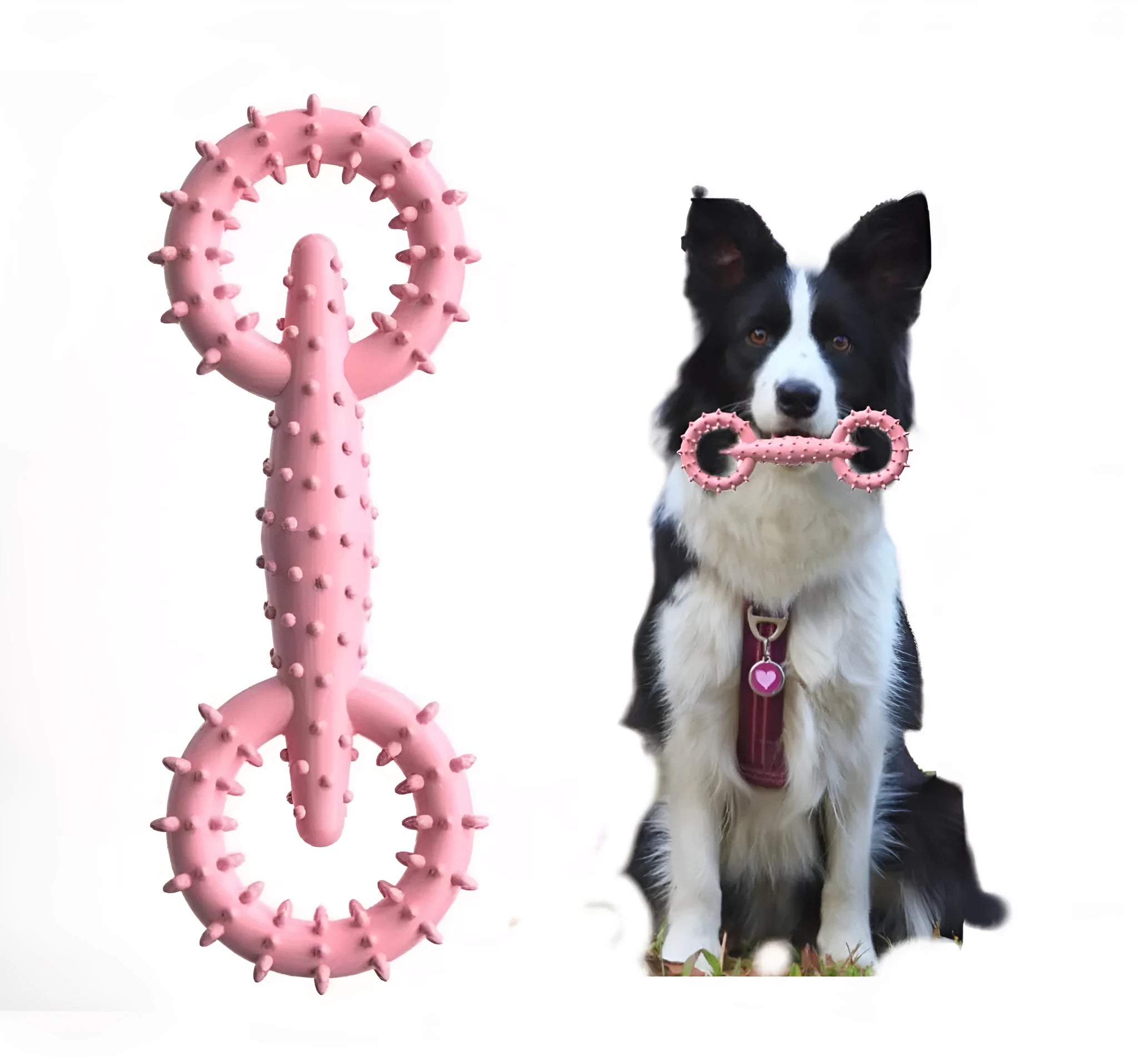 Blue TPR dog chew toy ring for teething puppies on a white background.