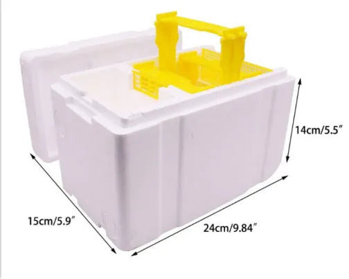 Three white EPS foam mini delivery boxes for bee breeding and hive management.