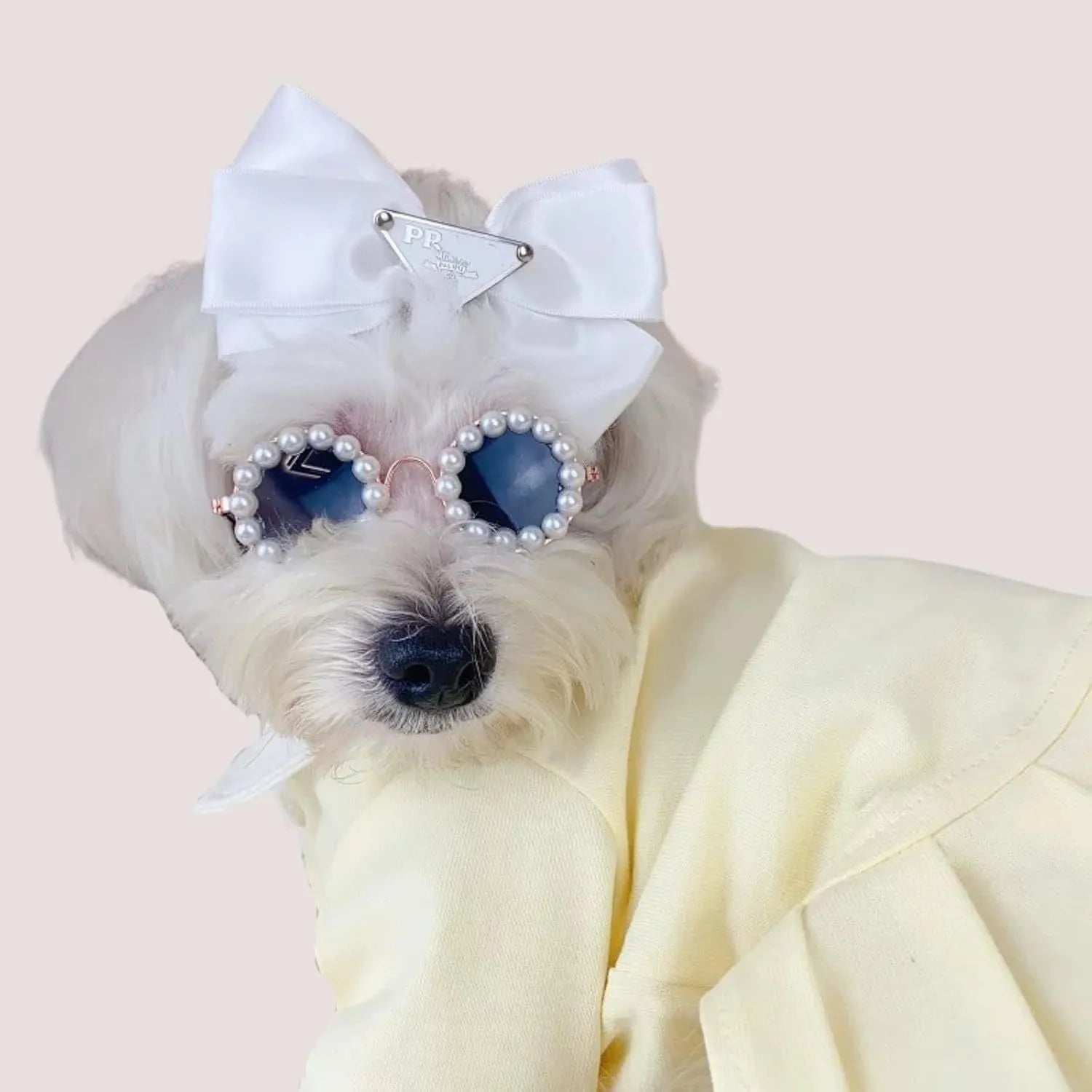 Round pearl sunglasses for a cat or dog, shown in blue on a neutral background.