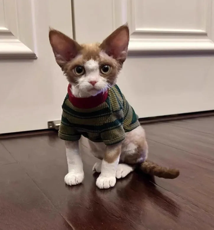 Green striped two-legged dog vest for small pets, autumn casual pet clothes with folded edges
