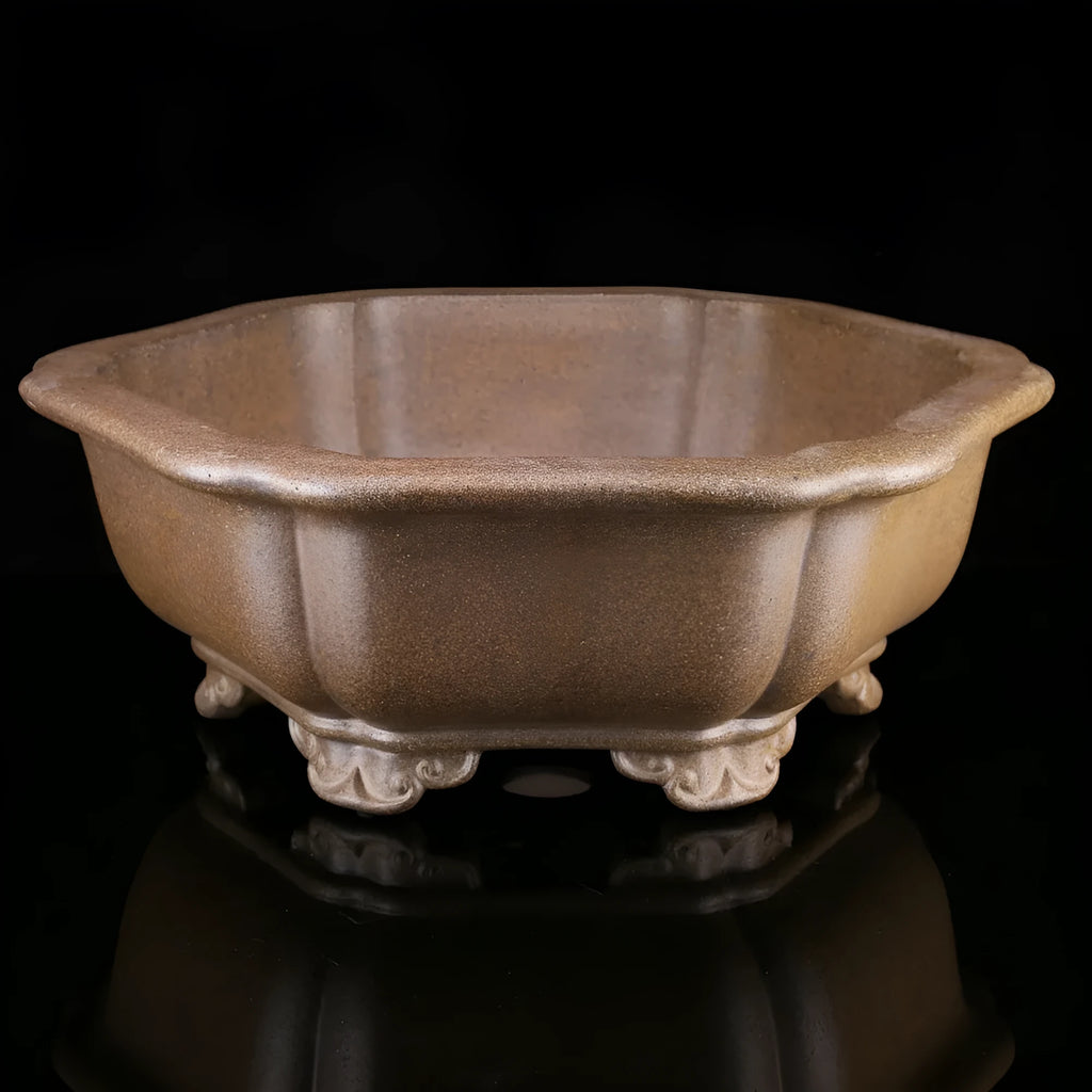 Large handmade purple sand bonsai pot in hexagonal or begonia shape for pine trees.