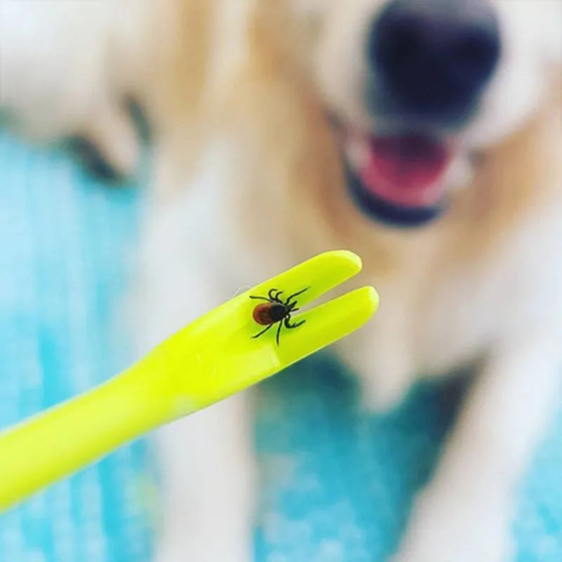 3 pack plastic pet tick removal clips in blue and green colours with hook design