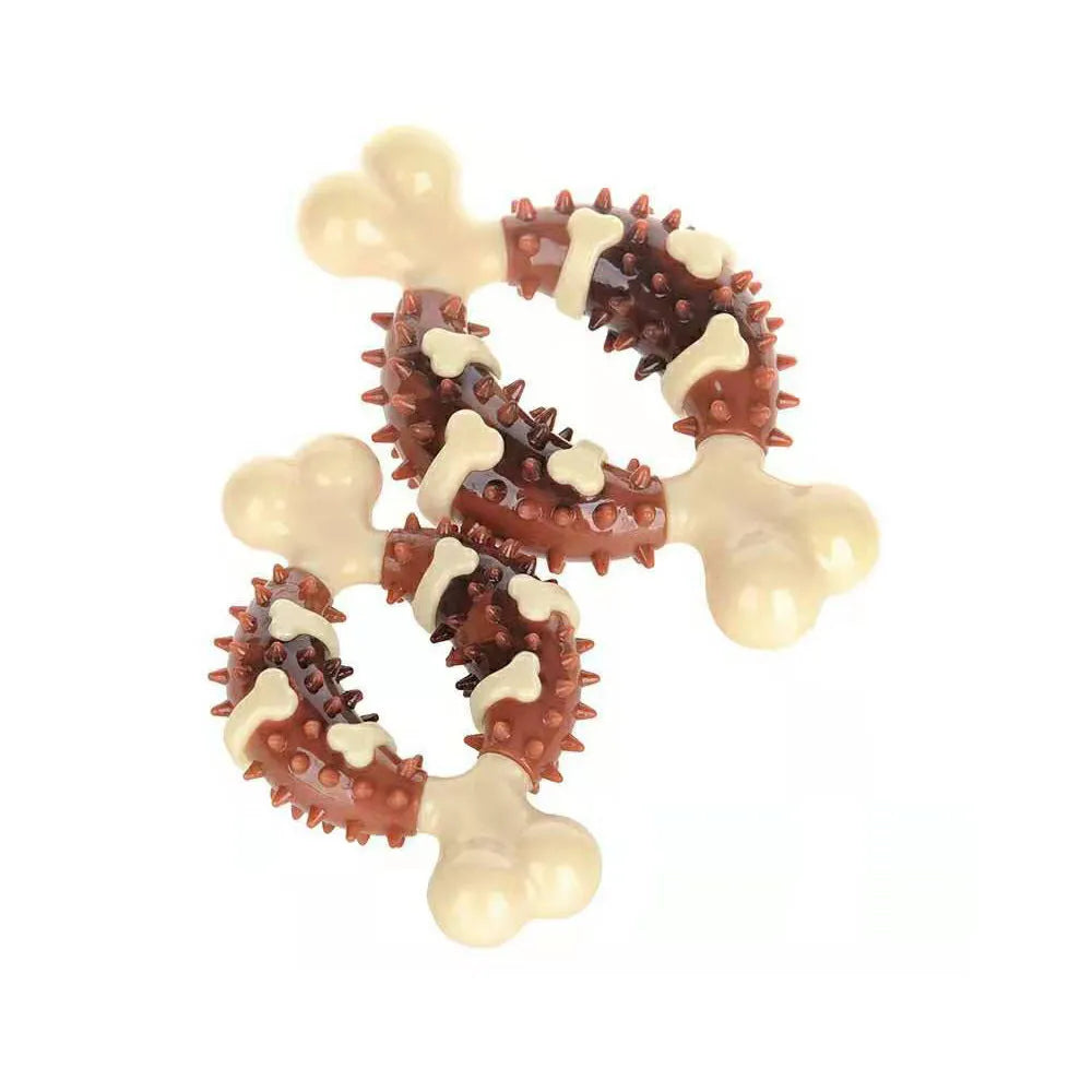 Natural rubber bone-shaped dog dental molar chew toy for teeth grinding shown in two size options