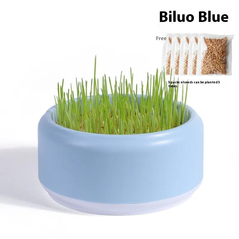 Blue, green, and yellow soilless hydroponic cat grass growing kits with seed packets
