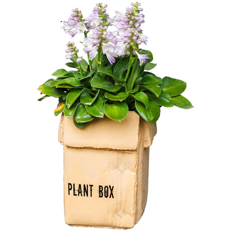 Nordic-style cement brown paper box flowerpot for indoor planting on a floor.