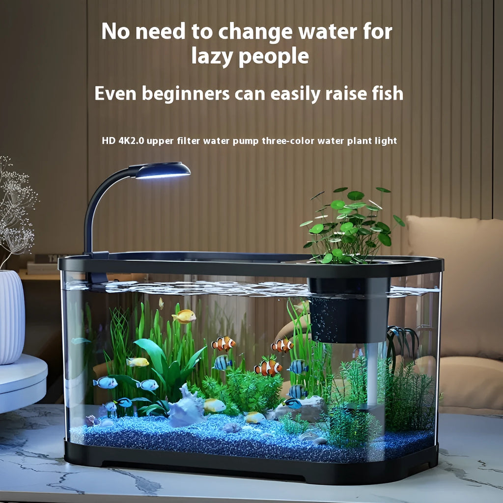 Desktop ecological fish tank in luxury black with integrated landscape filter and oxygenator.