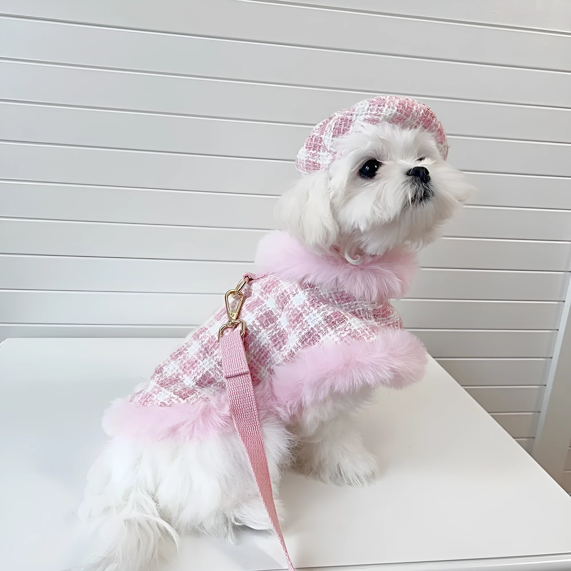 Pink polyester cat clothing set with beret and cape accessories in five sizes