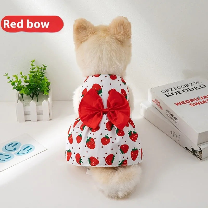 Ultra-thin light orange pet dress for a small dog with a floral butterfly knot on the back.