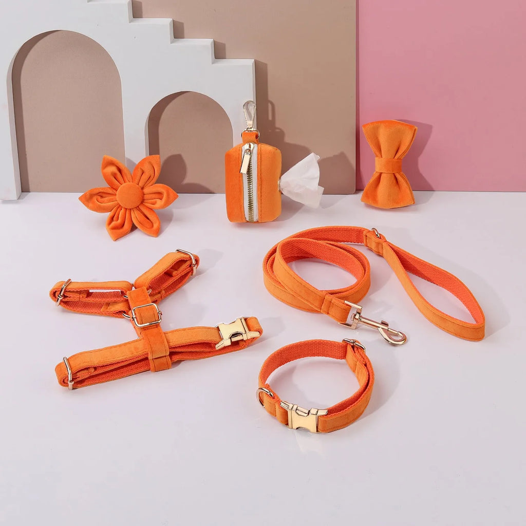 Velvet pet collar and traction rope set with chest strap and bow tie accessory