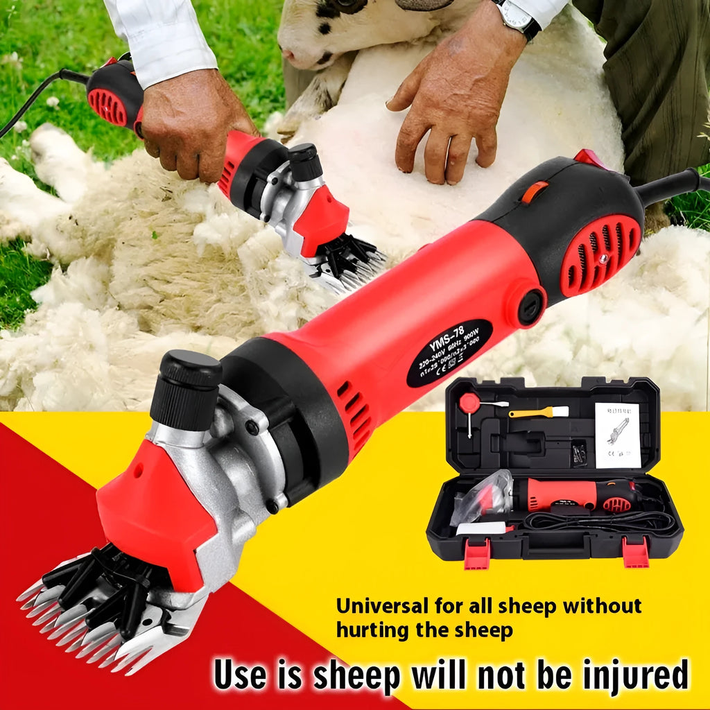 Yellow electric wool shears with 110V plug, multiple blade sets, and maintenance tools in plastic storage box