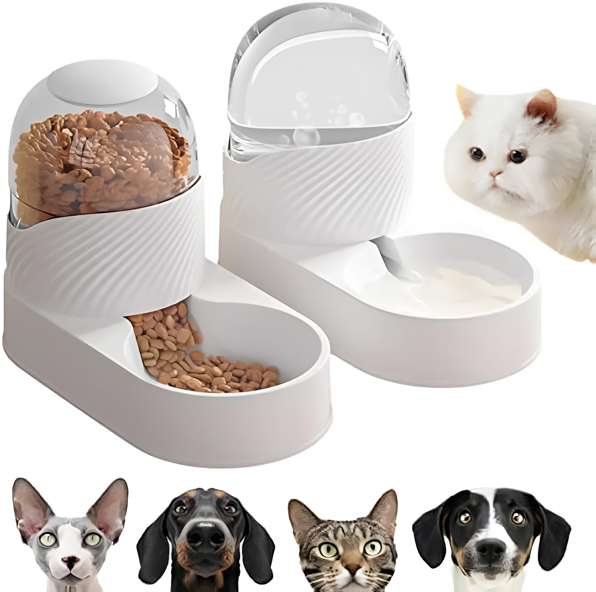 Pure white automatic cat food and water dispenser set with wave-shaped design on a countertop.