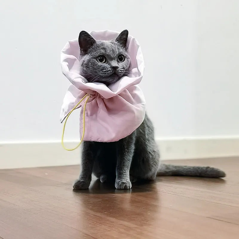 Soft blue adjustable Elizabethan recovery collar on small cat showing elastic buckle and protective cone shape