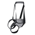 Grey neoprene recovery support belt for a dog's injured rear leg on a size chart.