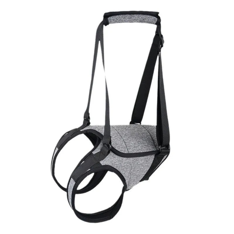 Grey neoprene recovery support belt for a dog's injured rear leg on a size chart.