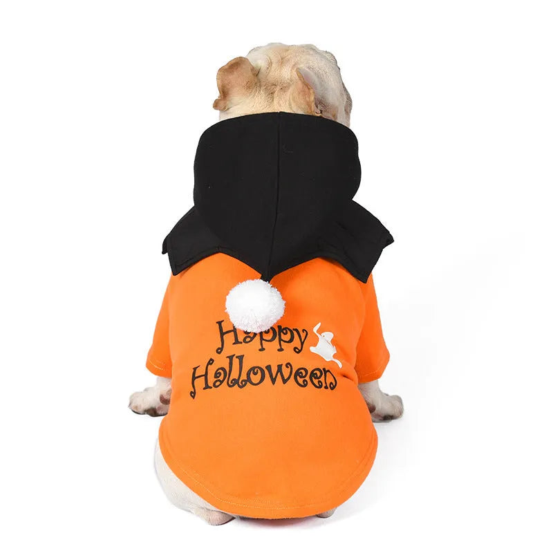 Black and orange Halloween pumpkin dog sweater and shawl set for dogs