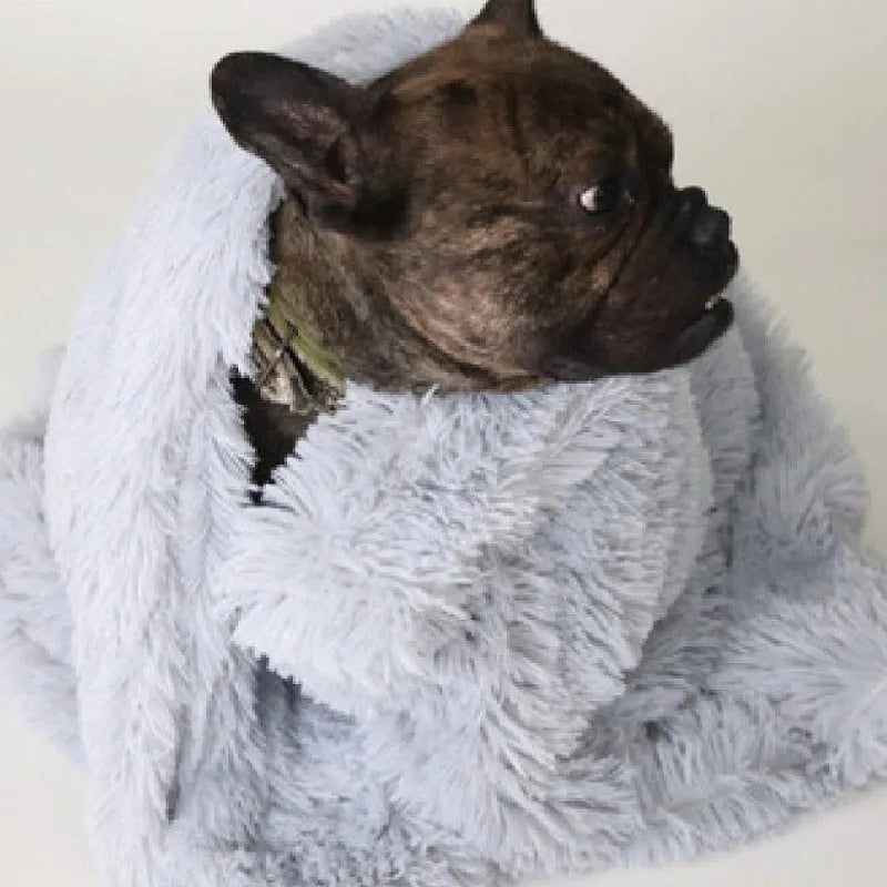 Soft long plush dog blanket in dark grey, sizes S M L shown next to a large dog.