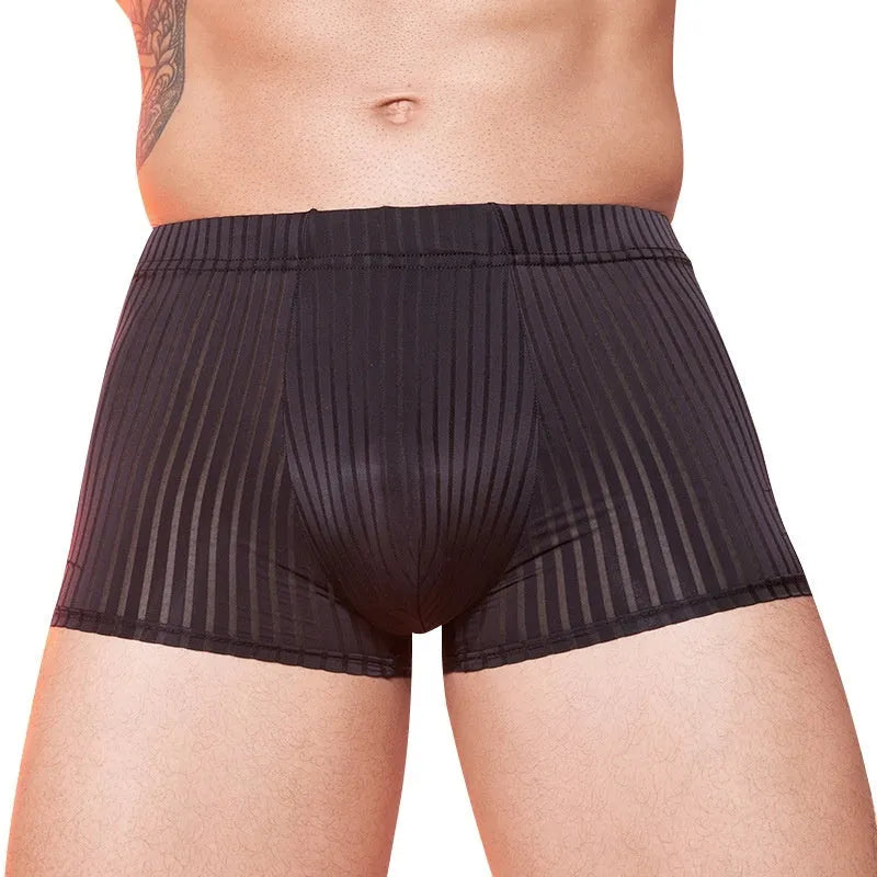 Men's striped underwear in thin transparent nylon fabric, shown in dark grey colour.