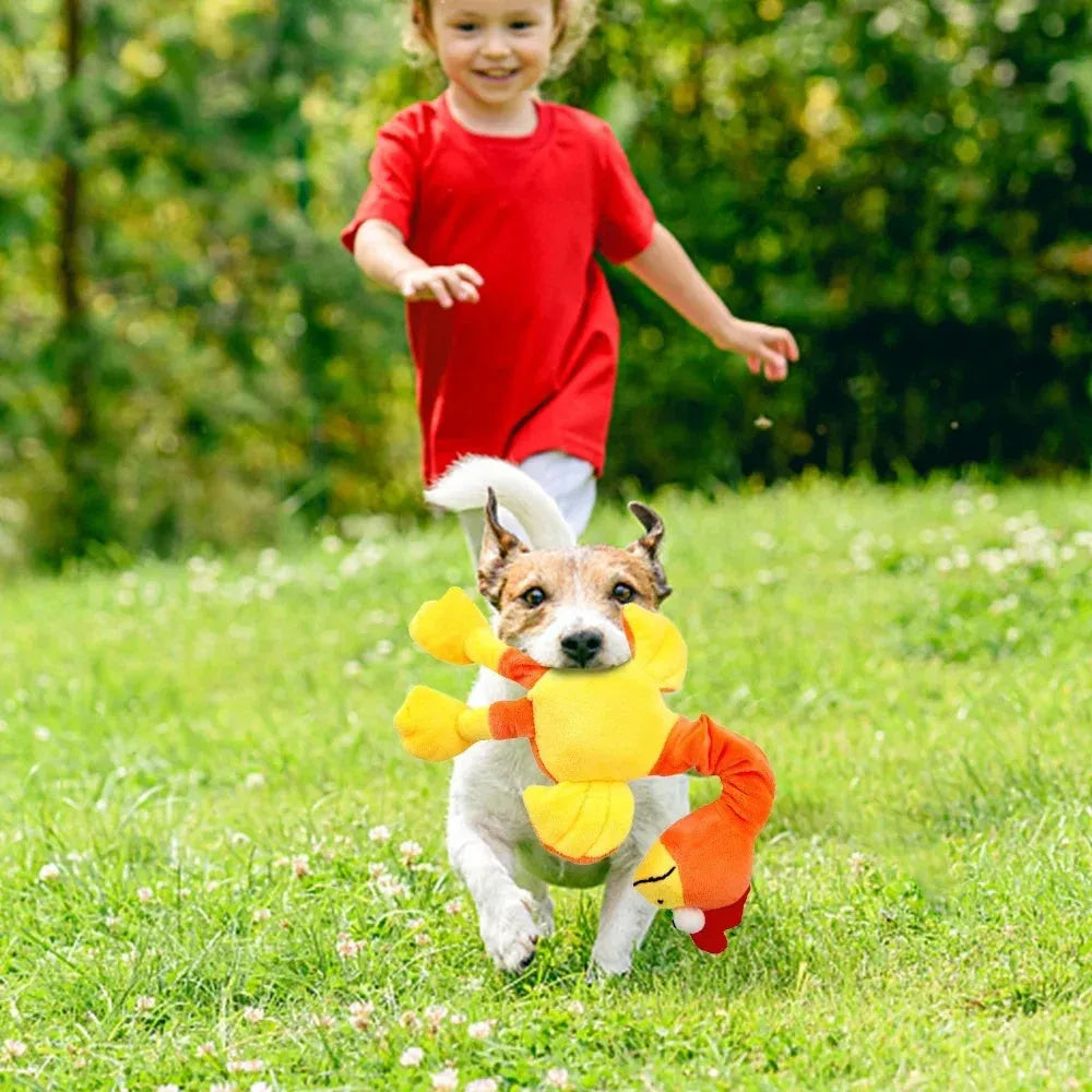 Squeaky chicken-shaped dog toy in black, green, and orange colours.