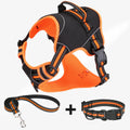 Polyester dog harness traction strap in yellow or orange available in S, M, L sizes for outdoor training