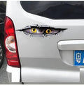 3D tiger eye eagle eye car bumper sticker on vehicle door showing dimensional design