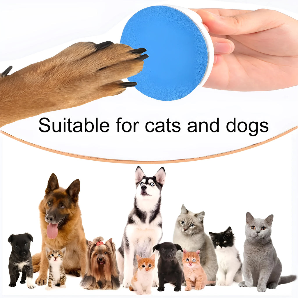 Dog nail scratch board with ergonomic handle in blue colour on white background