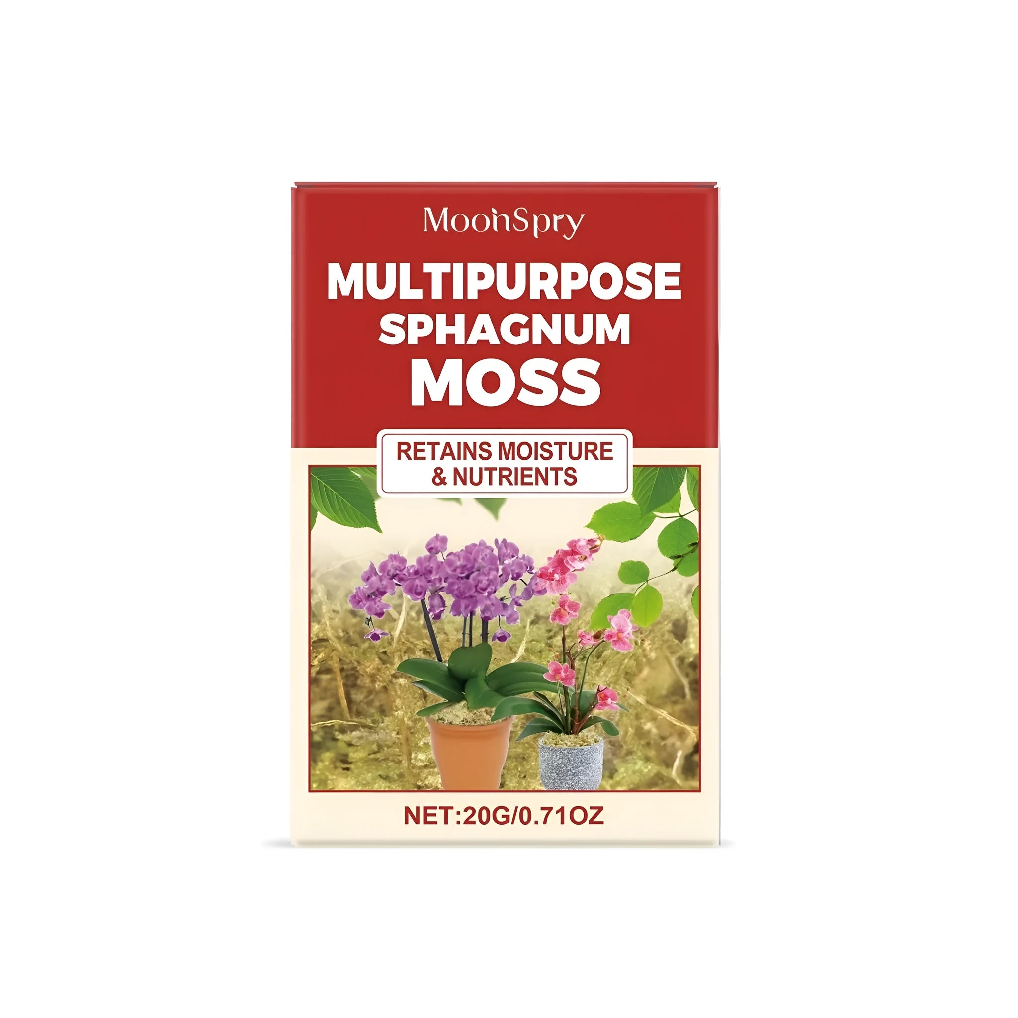 20g pack of dried sphagnum moss for terrarium and decorative use