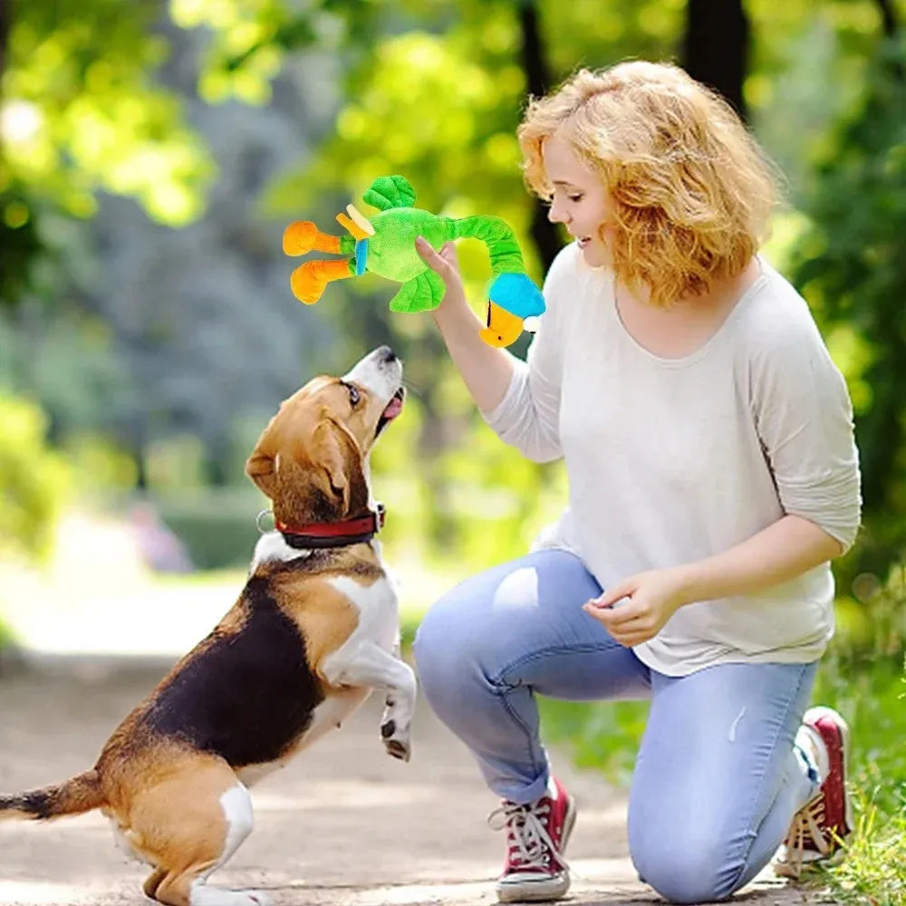 Squeaky chicken-shaped dog toy in black, green, and orange colours.