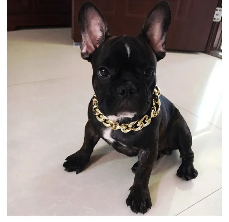 Gold colour twisted chain dog collar for small to medium dogs on a white background.