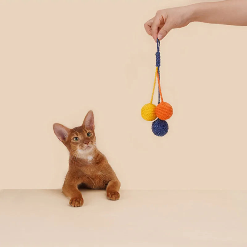 Cat toy set with teaser stick and colourful catnip balls on blue background