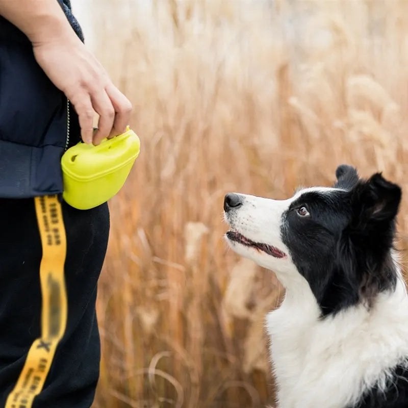 Silicone dog treat waist bag with magnetic closure and belt clip in multiple colour options
