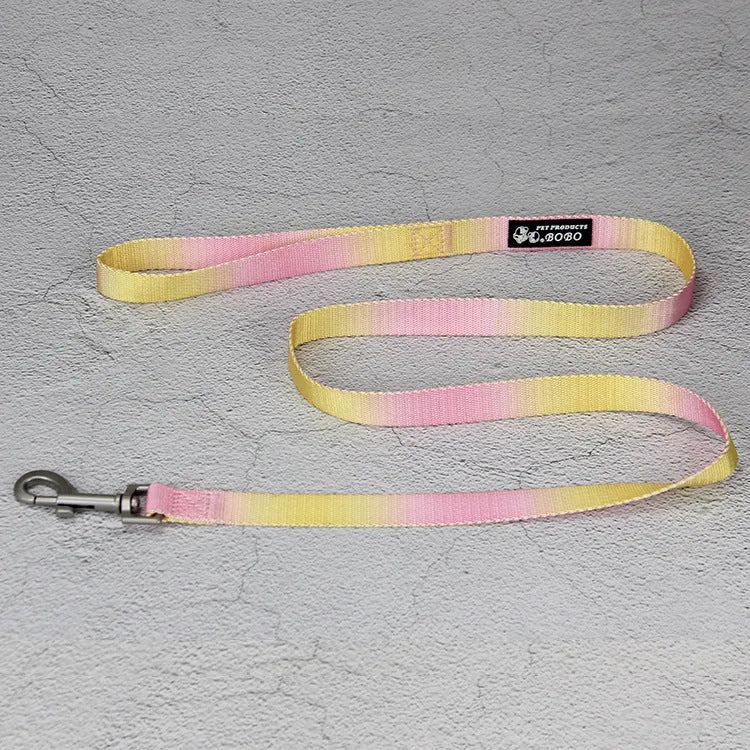 Gradient colour nylon dog lead and adjustable chest harness set for small or medium dogs.