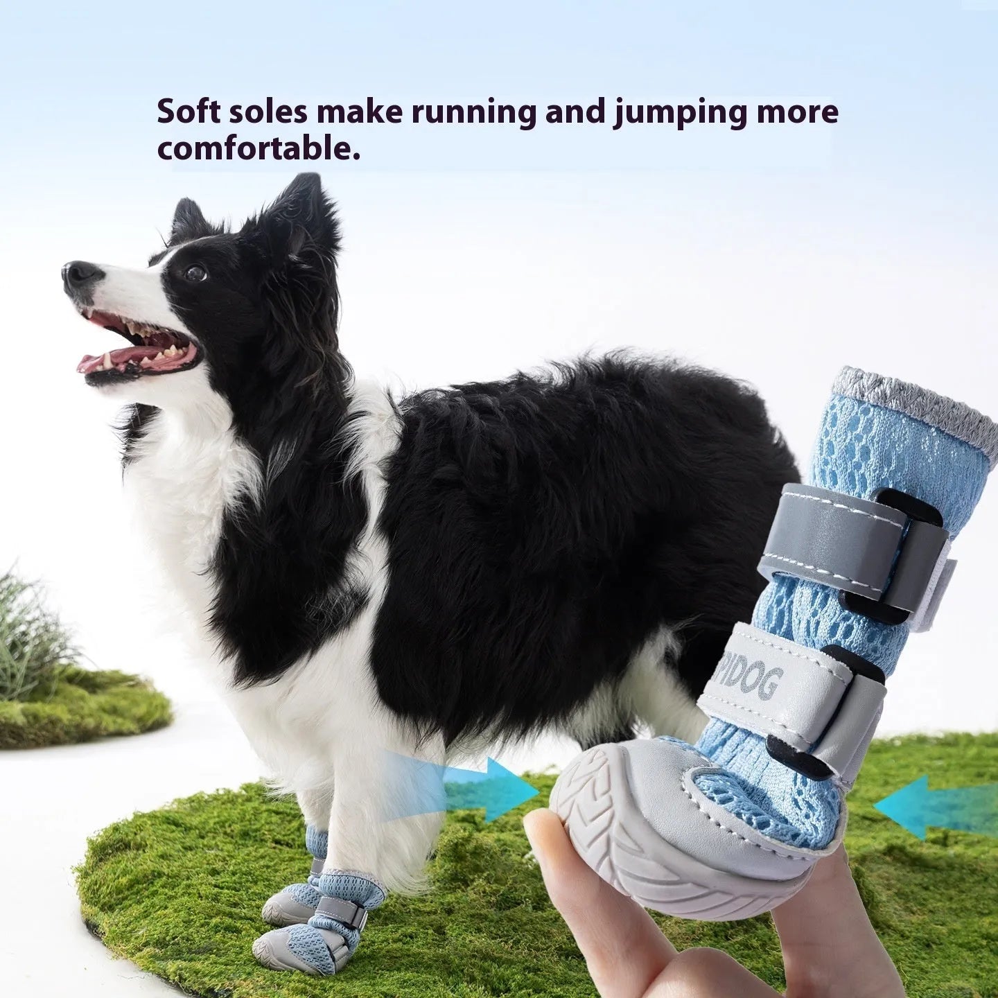 Cartoon style dog shoes in Bondi Blue colour with anti-scald summer protection design