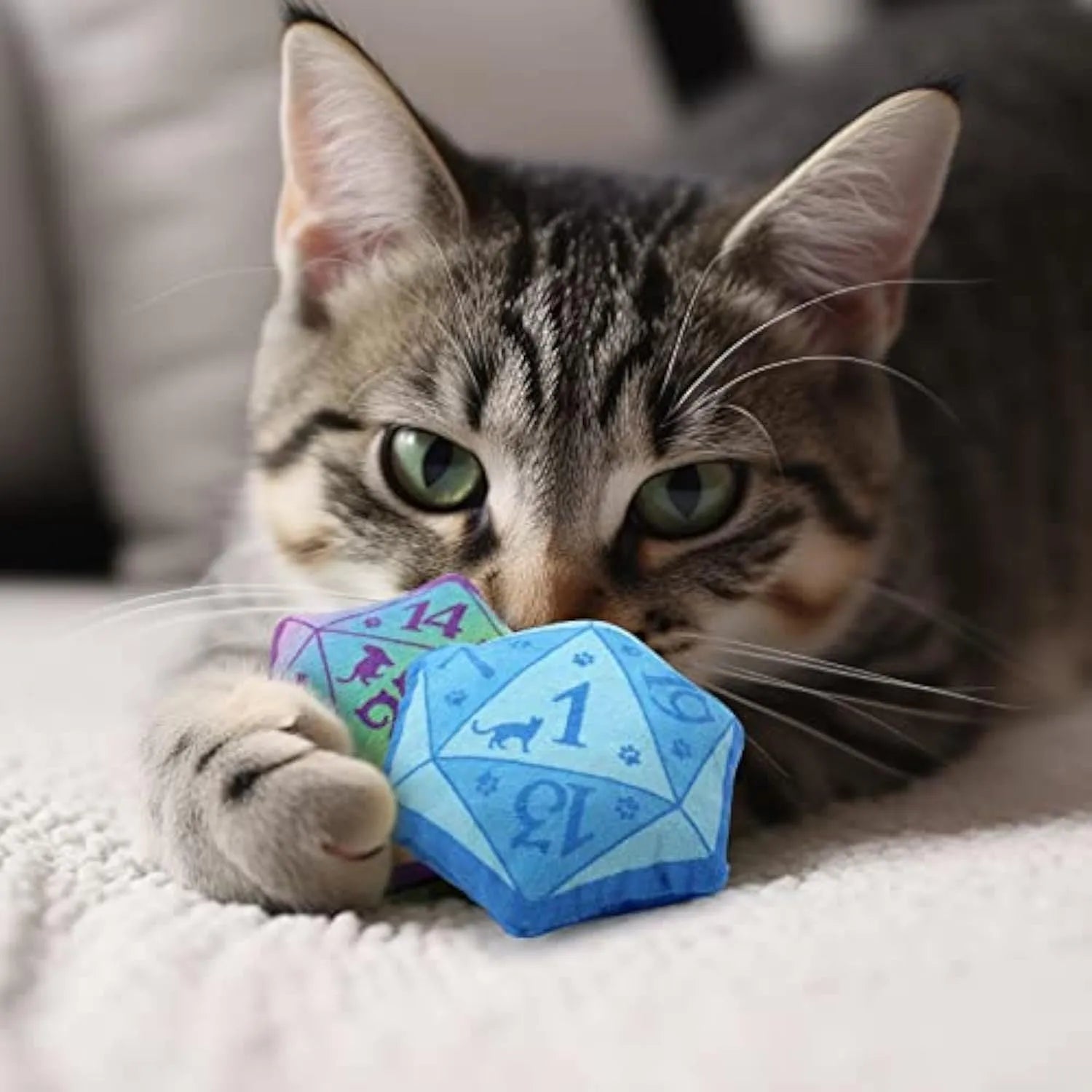 Blue dice-shaped plush cat toy with DND styling containing organic catnip for feline play