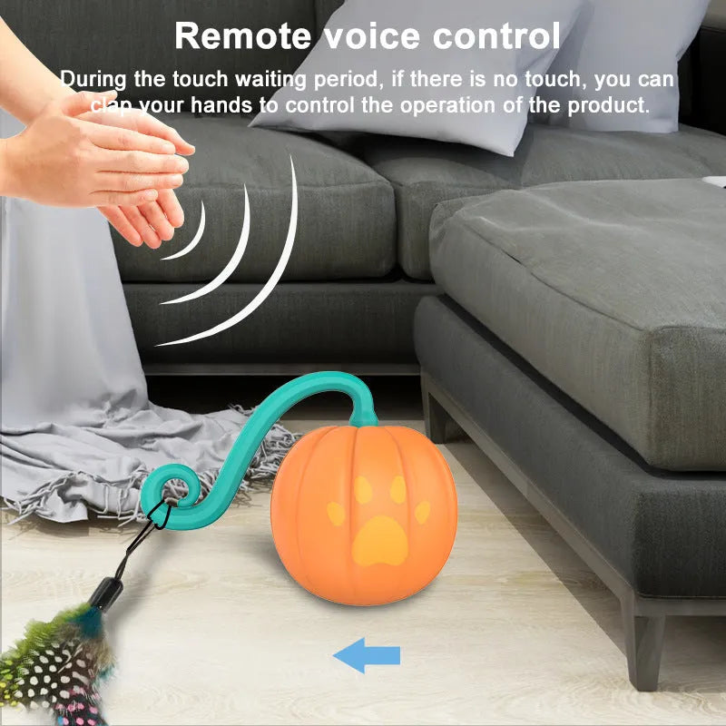 Electric cat toy with luminous rolling ball in pumpkin and watermelon colour designs