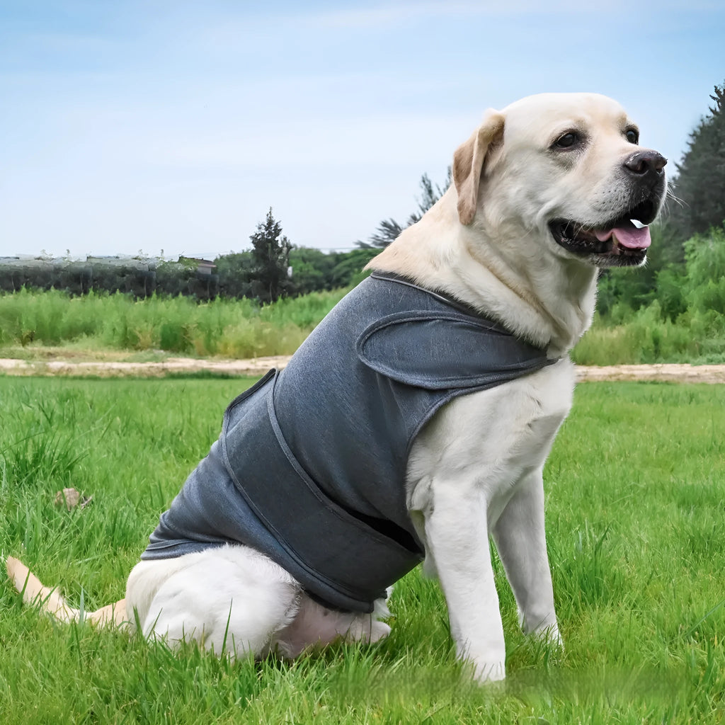 Dog wearing brown cotton calming tank top for separation anxiety relief