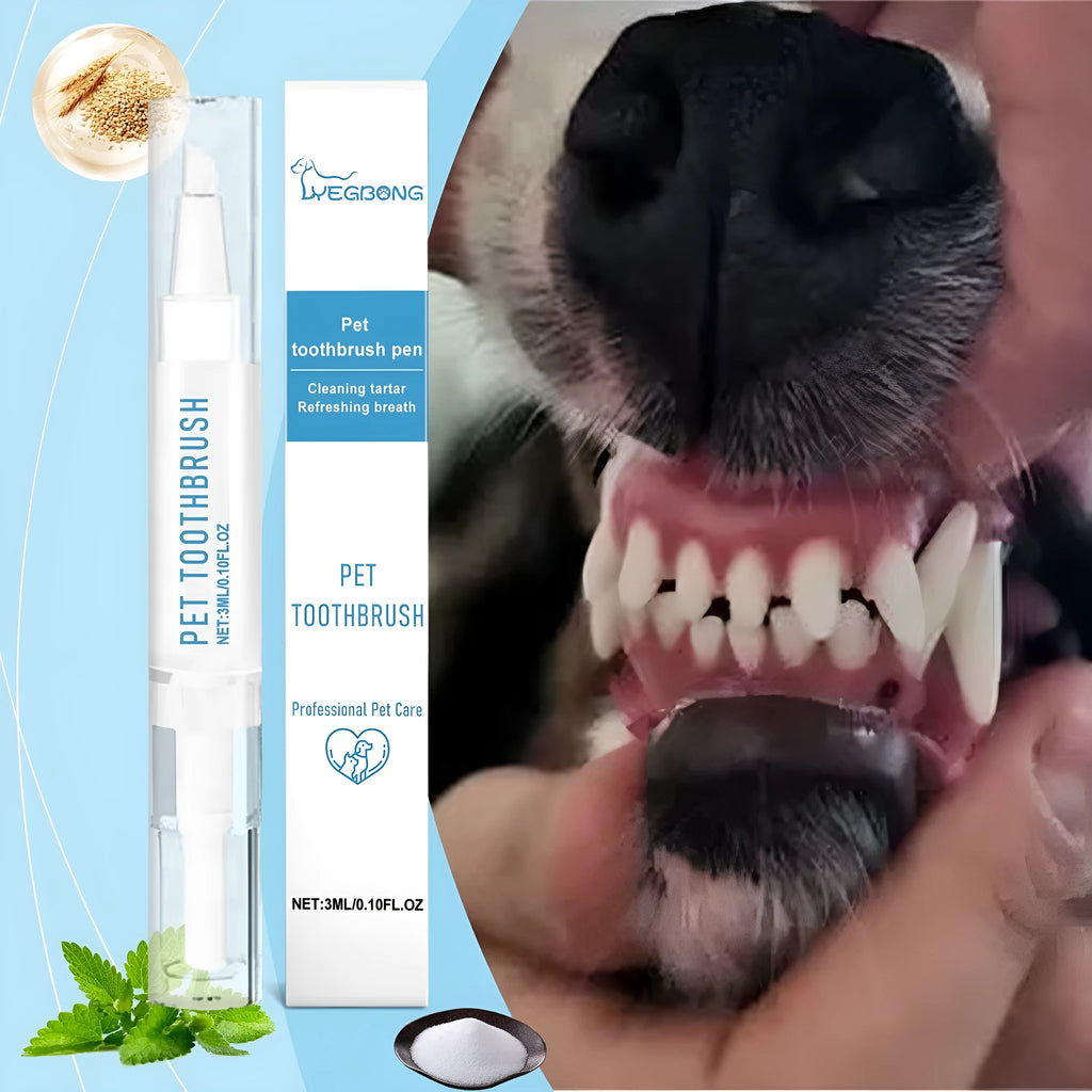 Pet toothbrush pen with soft bristles and 3ml cleaning gel for cat and dog dental care