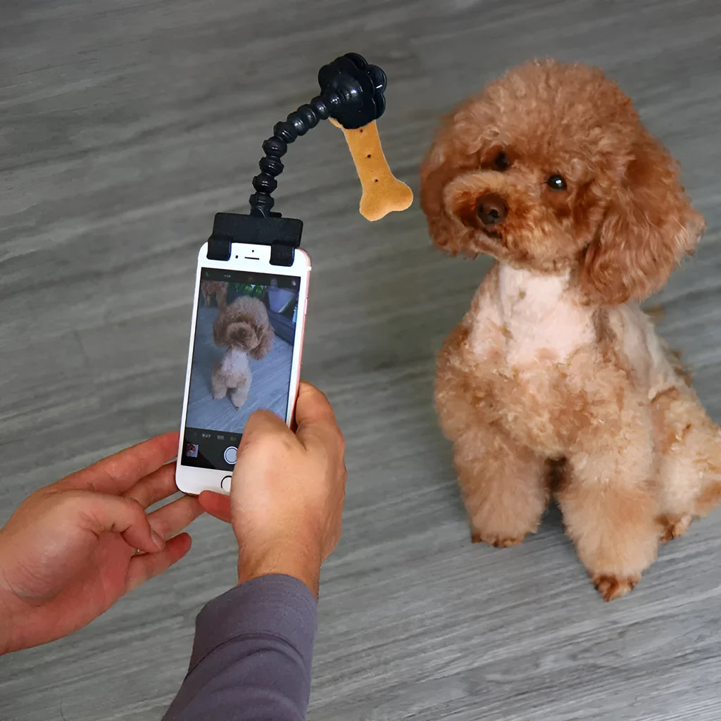 Plastic pet photography mobile phone holder with rotating treat clip in black or white colour