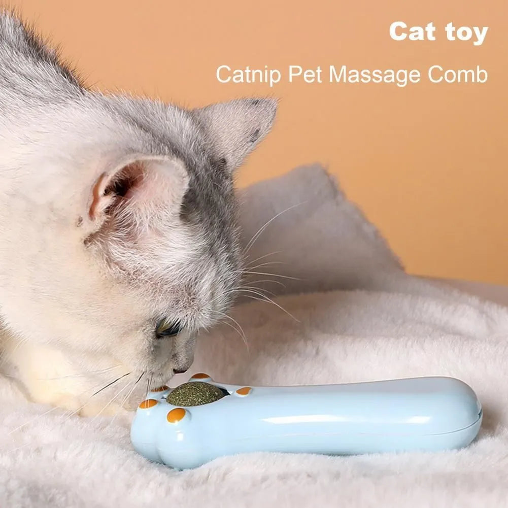 Cartoon-shaped cat toy and massage comb with comb teeth and a dust-proof cover, shown in assorted colours.